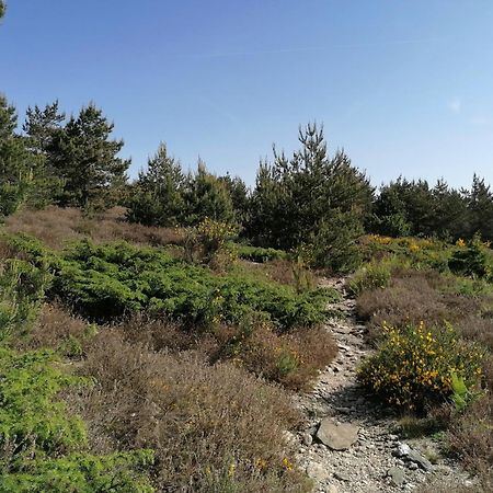 Gite Cote Nature Cabrerolles Eksteriør bilde